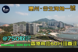 合生海角一號_惠州|首期3萬(減)|@750蚊呎|香港高鐵60分鐘直達|香港銀行按揭(實景航拍)